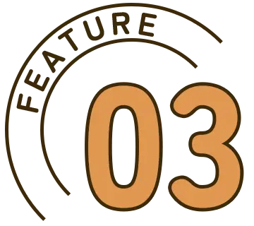 03